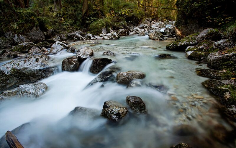 Stream Flowing Through Forest — Green, Serene, Autumn, Photograph, Rocks