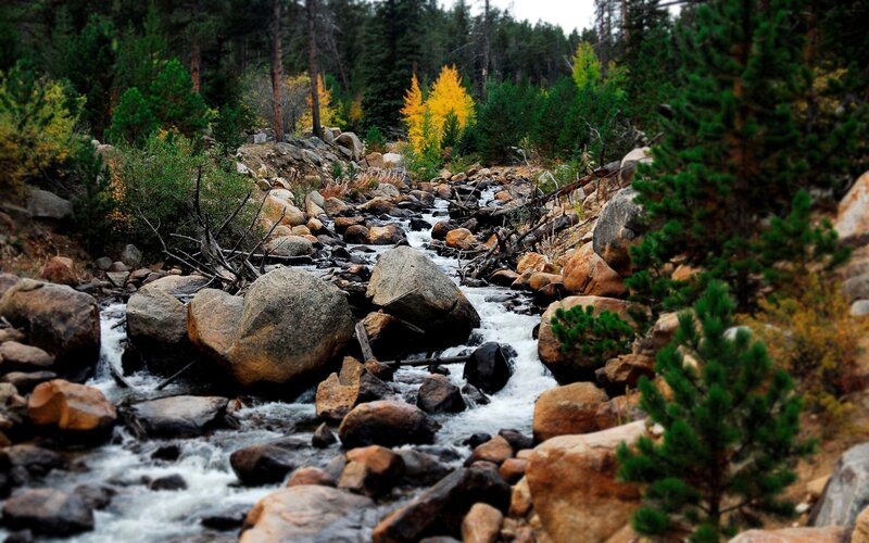 Stream Flowing Through Forest — Green, Serene, Autumn, Photograph
