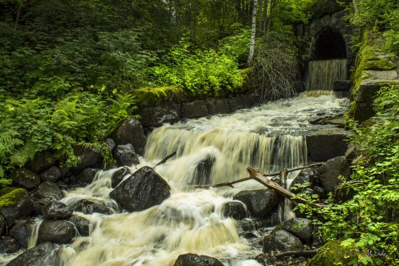 Stream Flowing Through Forest — Green, Serene, Summer, Photograph, Rocks