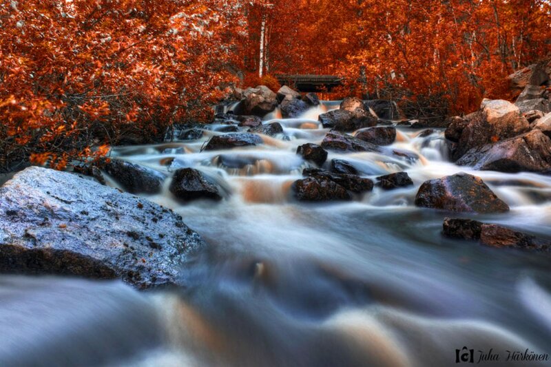 Stream Flowing Through Forest — Red