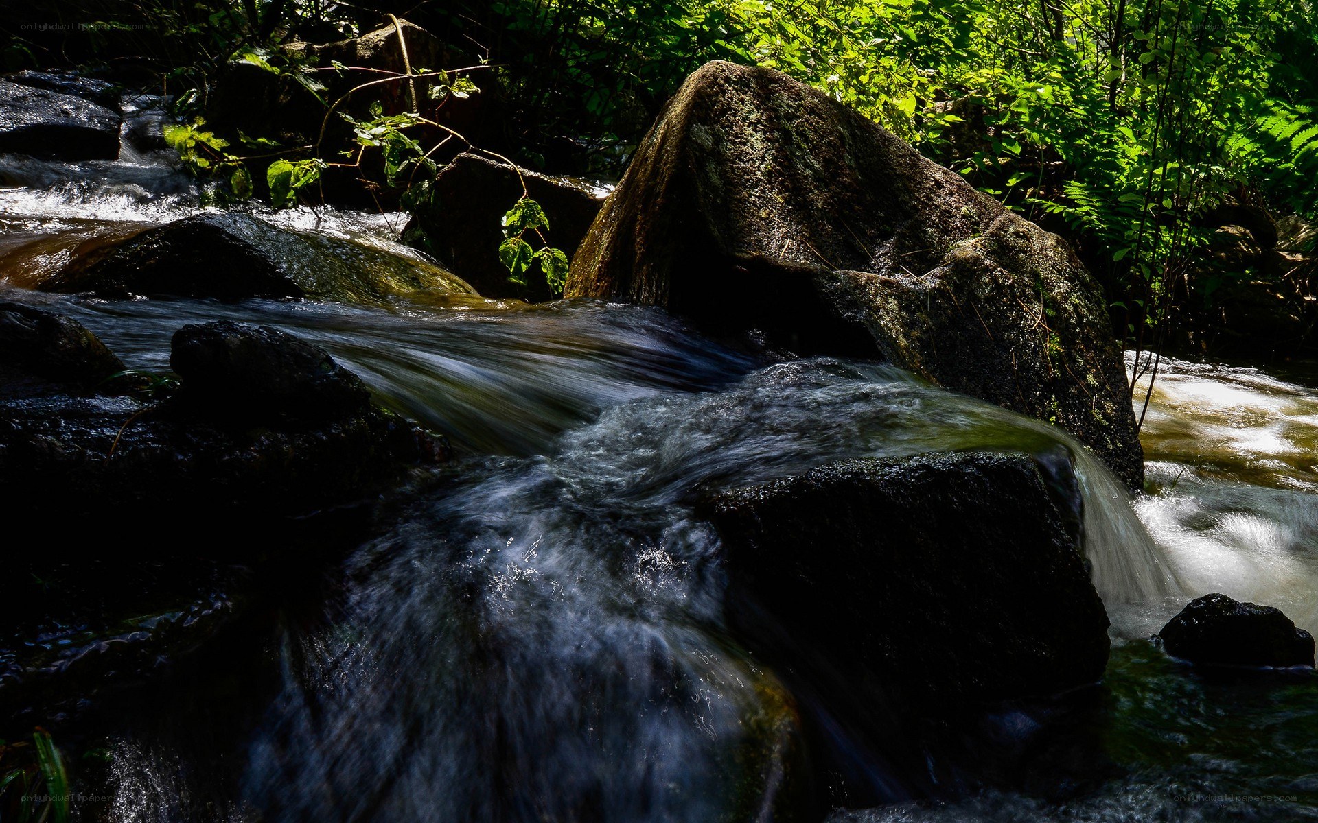 Stream flowing through forest rocks