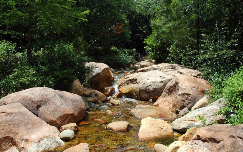 Stream flowing through forest rocks