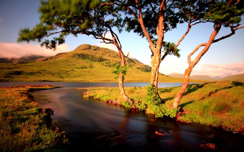Stream Flowing Through Grassland