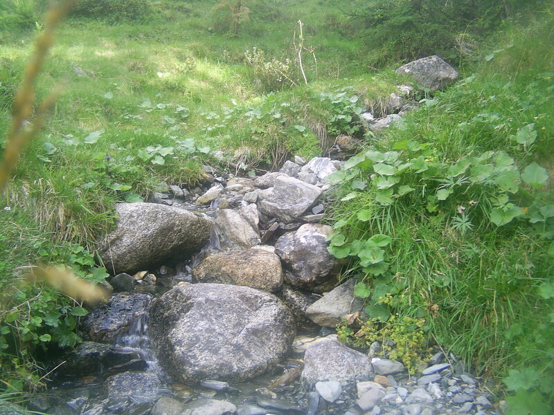 Stream flowing through grassy area