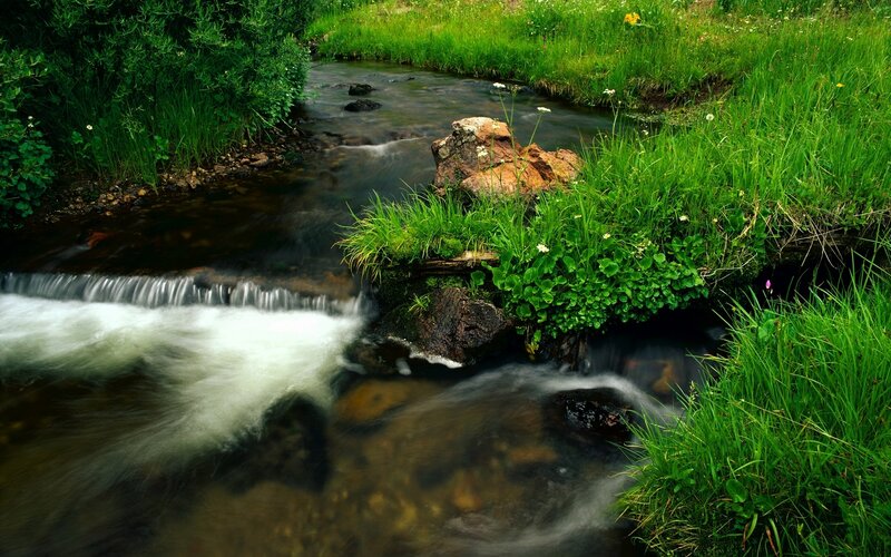 Stream flowing through green meadow
