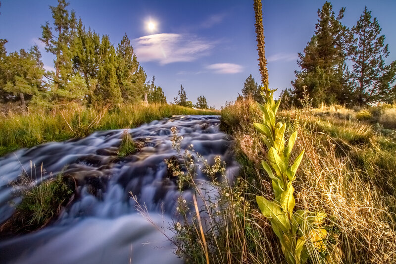 Stream Flowing Through Meadow