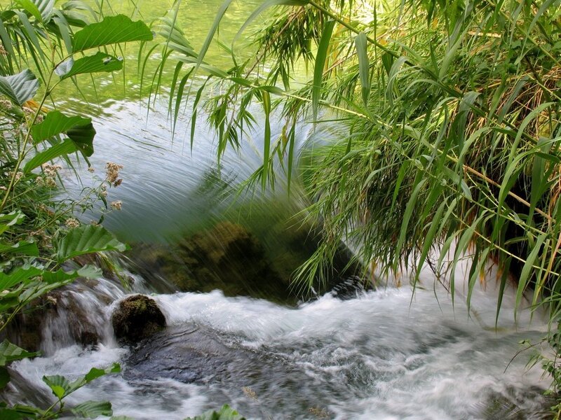 Stream Flowing Through Reeds