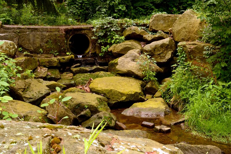 Stream Flowing Through Rocks — Green, Natural