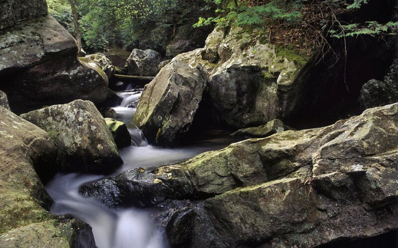 Stream Flowing Through Rocks — Green, Serene, Afternoon, Photograph, Trees, Forest, Gray, Brown