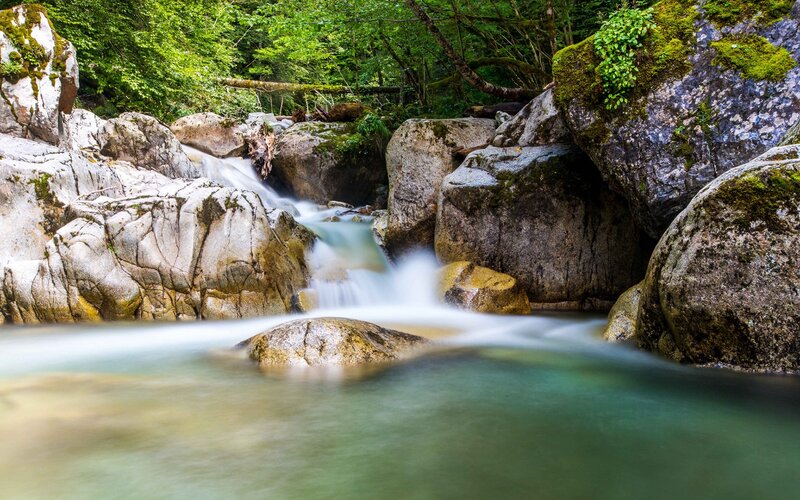 Stream Flowing Through Rocks — Green, Serene, Afternoon, Photograph, Trees, Moss, Gray, Blue