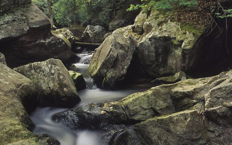 Stream Flowing Through Rocks — Green, Serene, Afternoon, Photograph, Trees, Moss, Gray, Brown