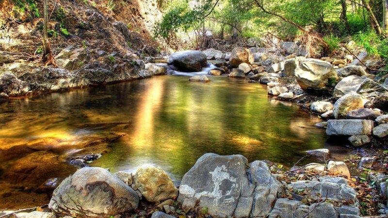 Stream Flowing Through Rocks — Green, Serene, Afternoon, Photograph, Trees
