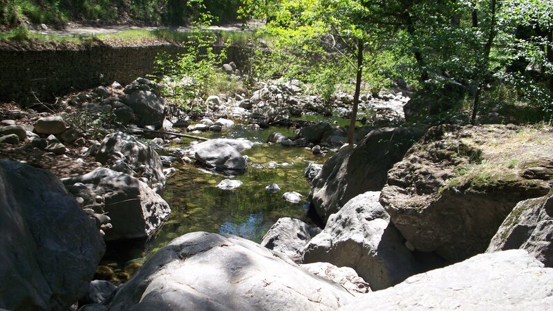 Stream Flowing Through Rocks — Green, Serene, Afternoon, Photograph, Trees, Water, Gray