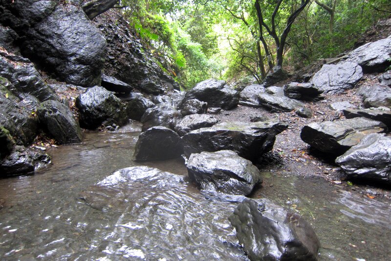 Stream Flowing Through Rocks — Green, Serene, Afternoon