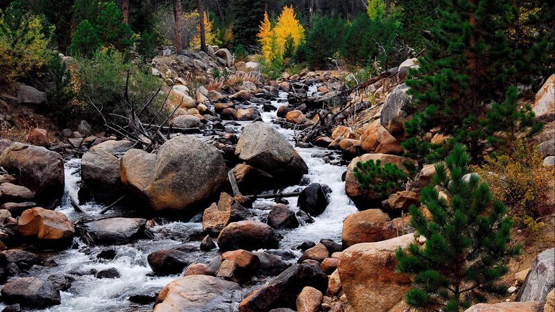 Stream Flowing Through Rocks — Green, Serene, Autumn, Photograph
