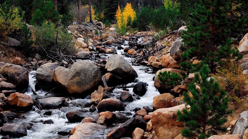 Stream Flowing Through Rocks — Green, Serene, Autumn, Photograph, Trees, Fallen Branches, Brown, White