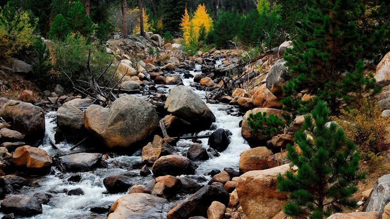 Stream Flowing Through Rocks — Green, Serene, Autumn