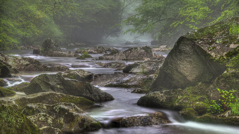 Stream Flowing Through Rocks — Green, Serene, Morning