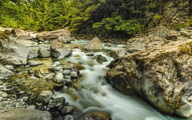 Stream Flowing Through Rocks — Green, Serene, Photograph, Trees, Forest