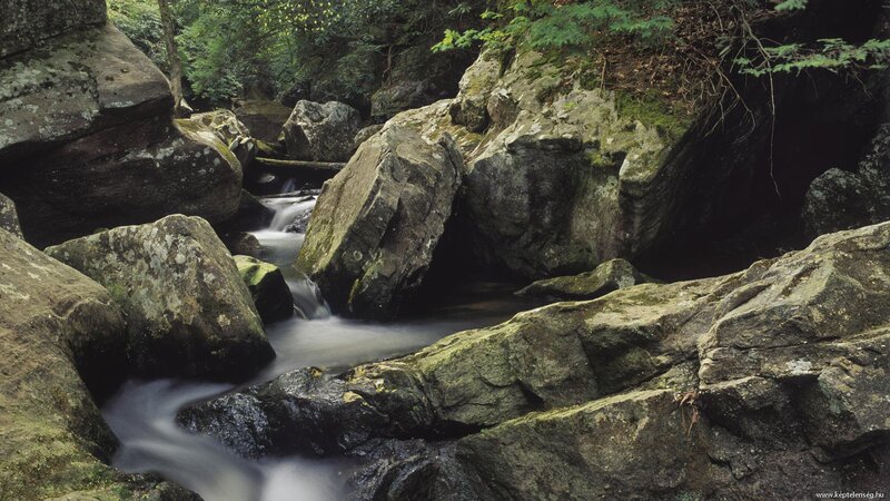 Stream Flowing Through Rocks — Green, Serene, Photograph, Trees