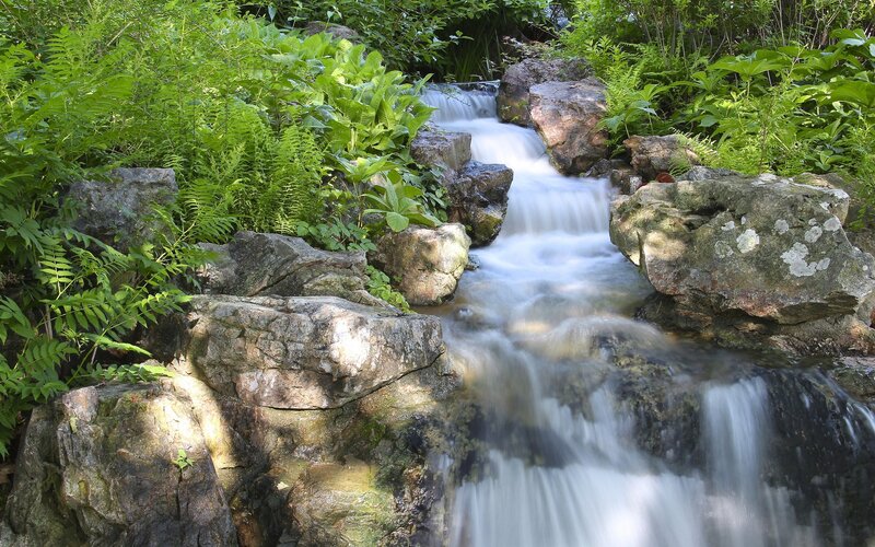 Stream flowing through rocks