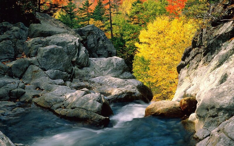 Stream Flowing Through Rocks — Yellow