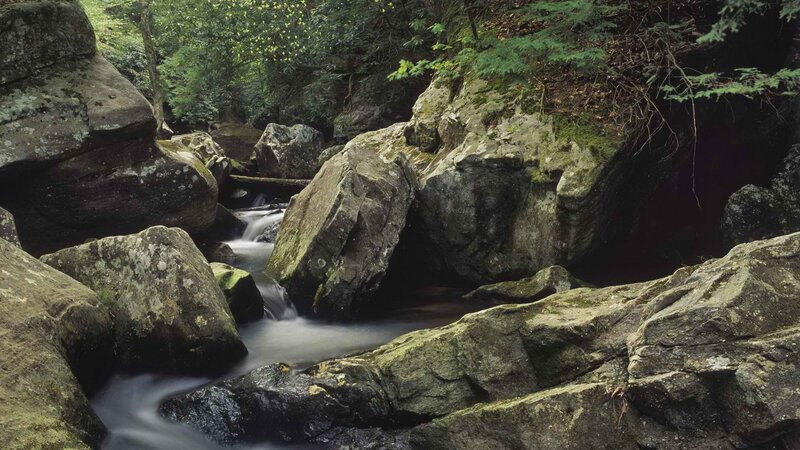 Stream flowing through rocky forest