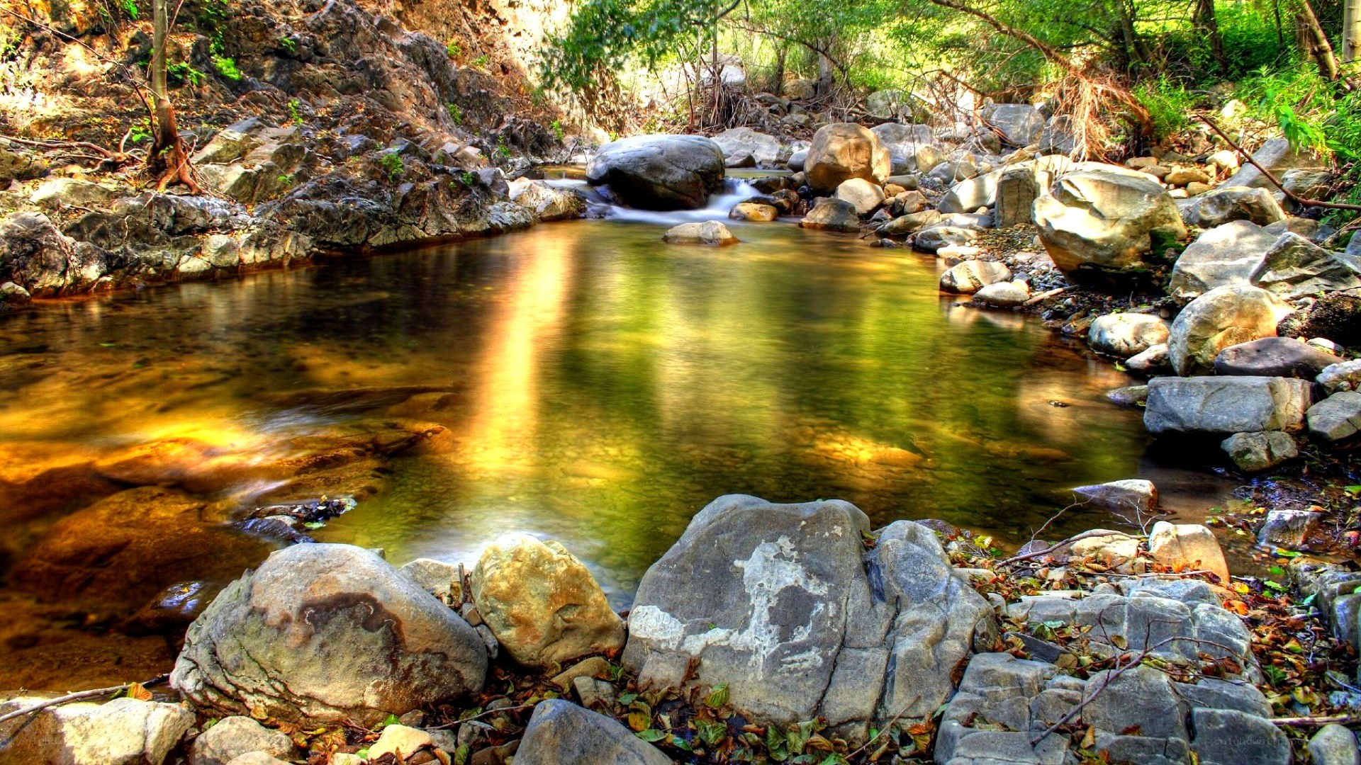 Stream flowing through rocky forest
