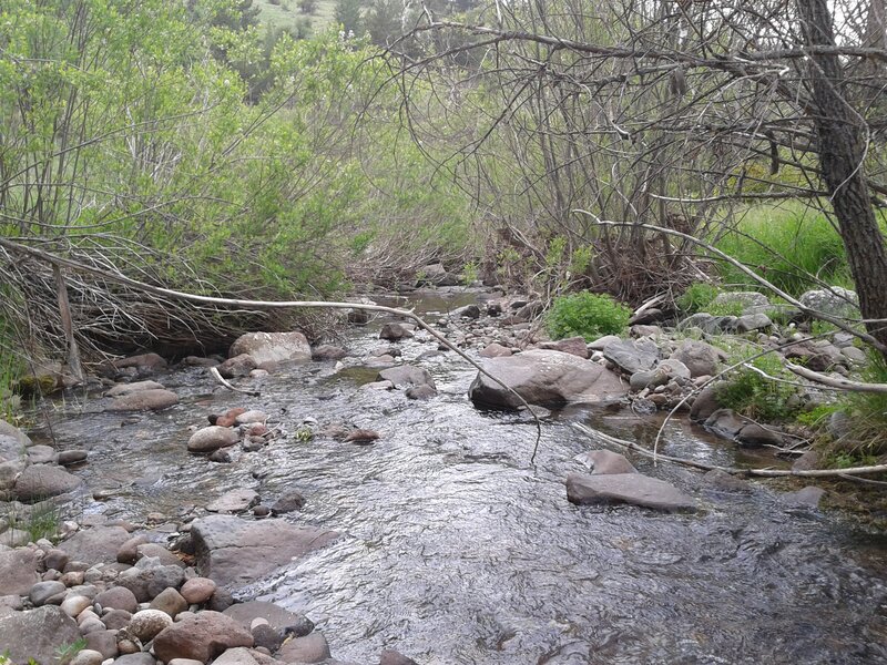 Stream flowing through rocky terrain