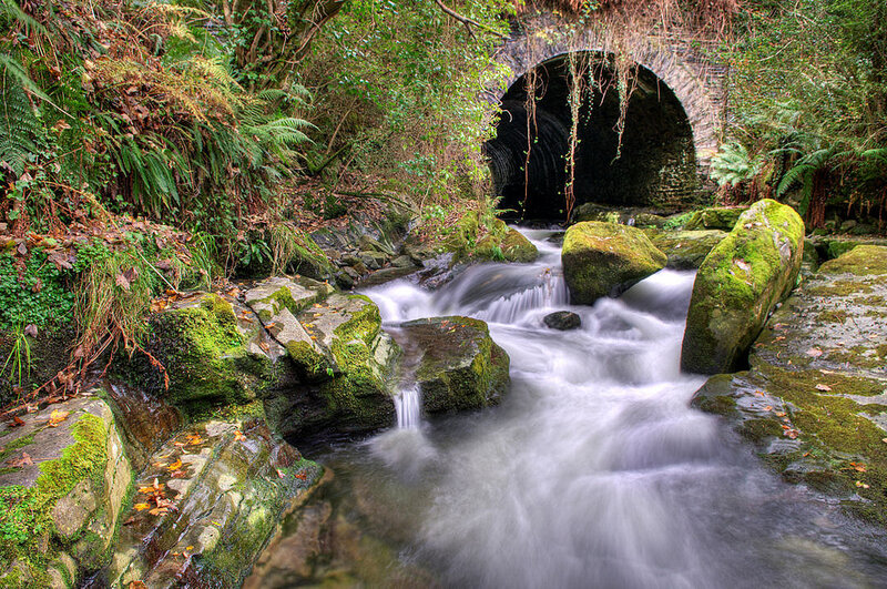 Stream Flowing Through Tunnel — Green