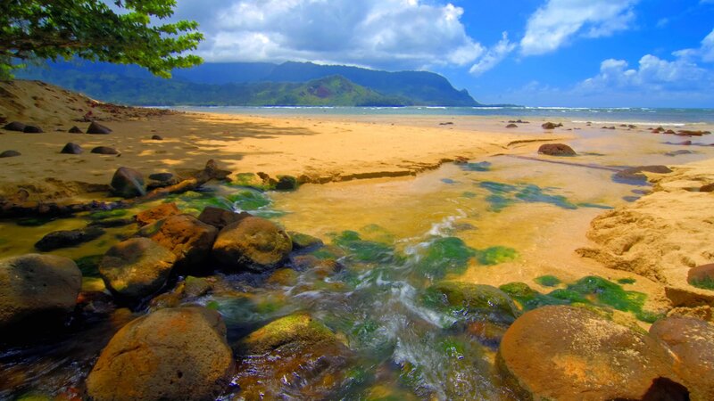 Stream Flowing to Beach — Blue, Serene, Afternoon