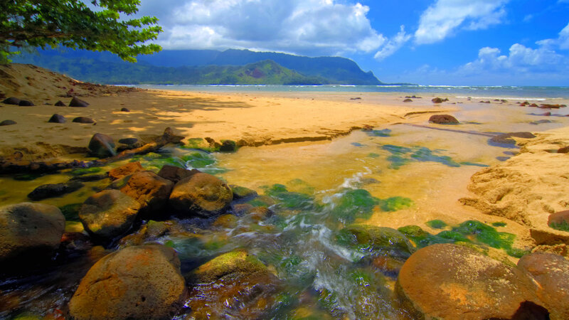 Stream Flowing to Beach
