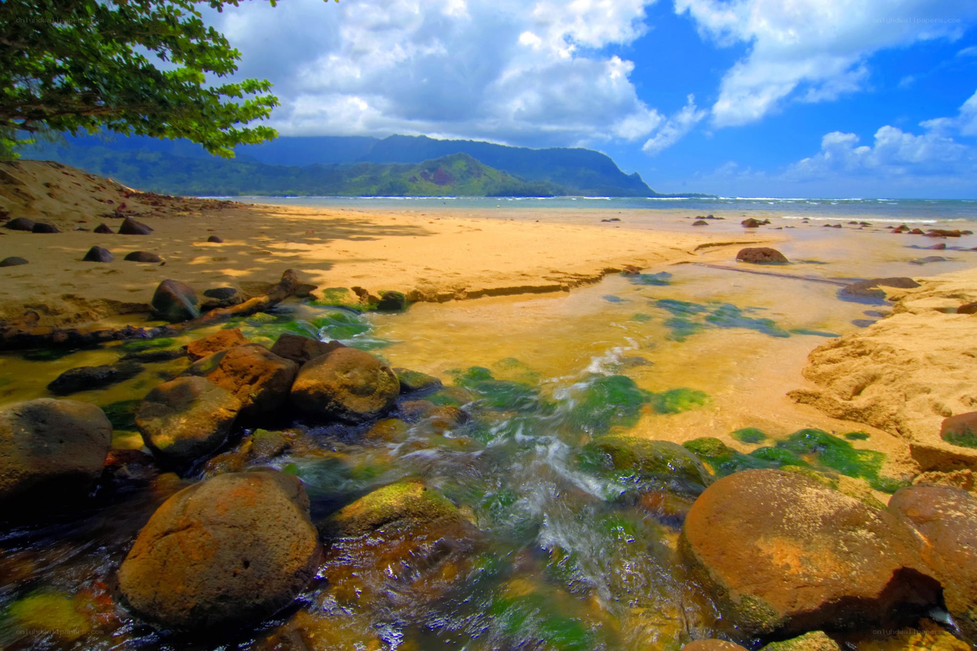 Stream flowing to the ocean
