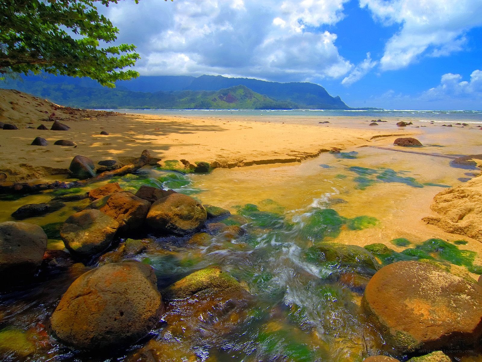 Stream flowing to the ocean