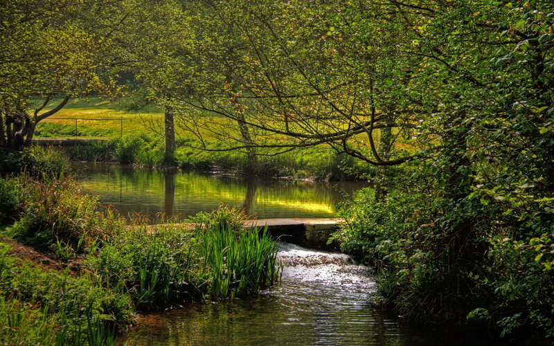 Stream Flowing under Bridge