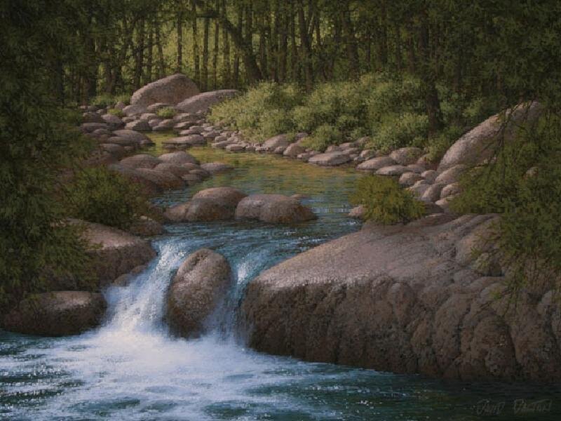 Stream in a forest