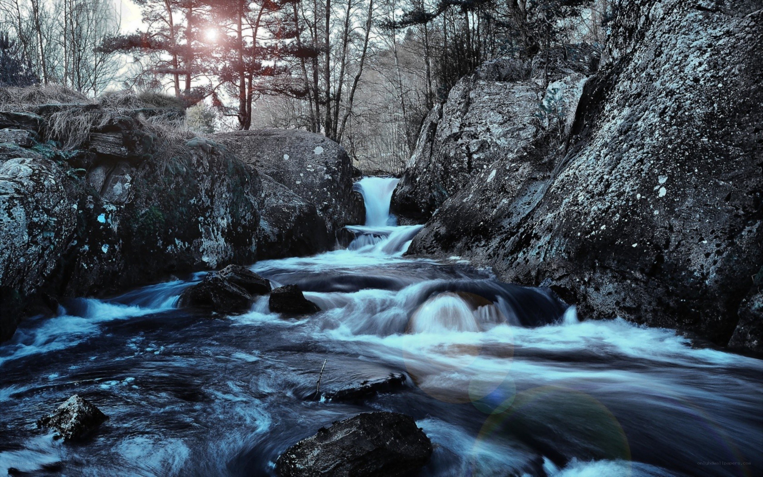 Stream in a forest canyon