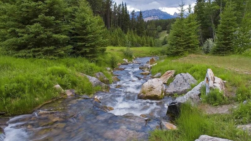 Stream in a forest valley