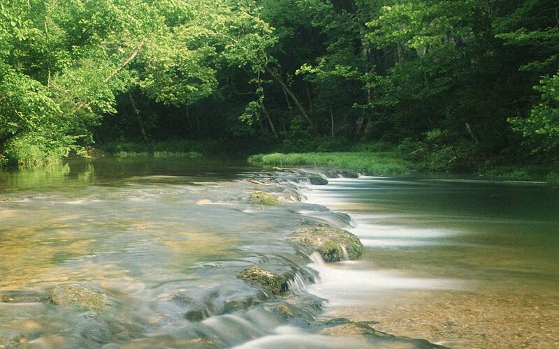 Stream in a forested area