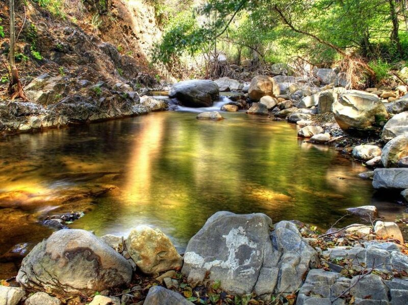 Stream in a forested canyon