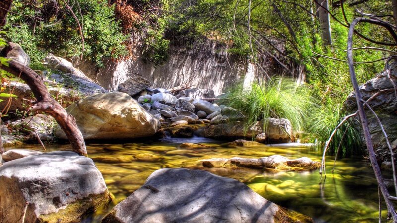 Stream in a forested canyon