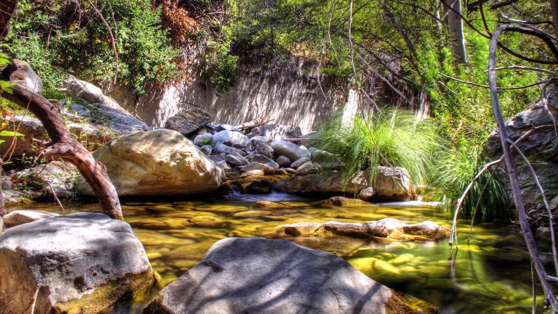 Stream in a forested canyon