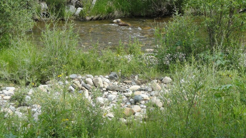 Stream in a grassy area