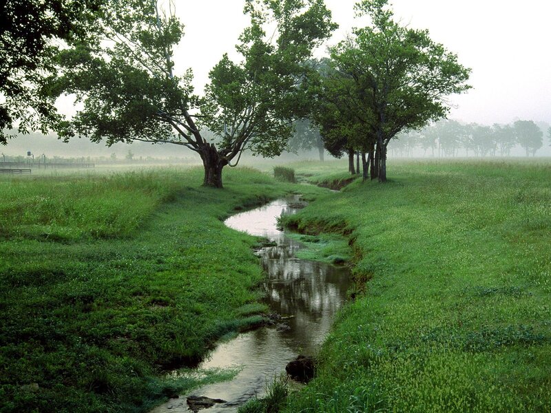 Stream in a Grassy Field