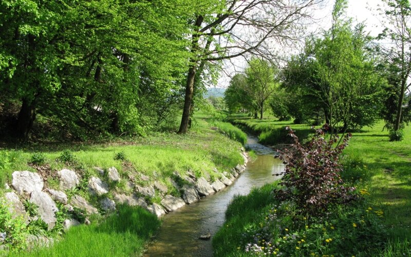 Stream in a green park