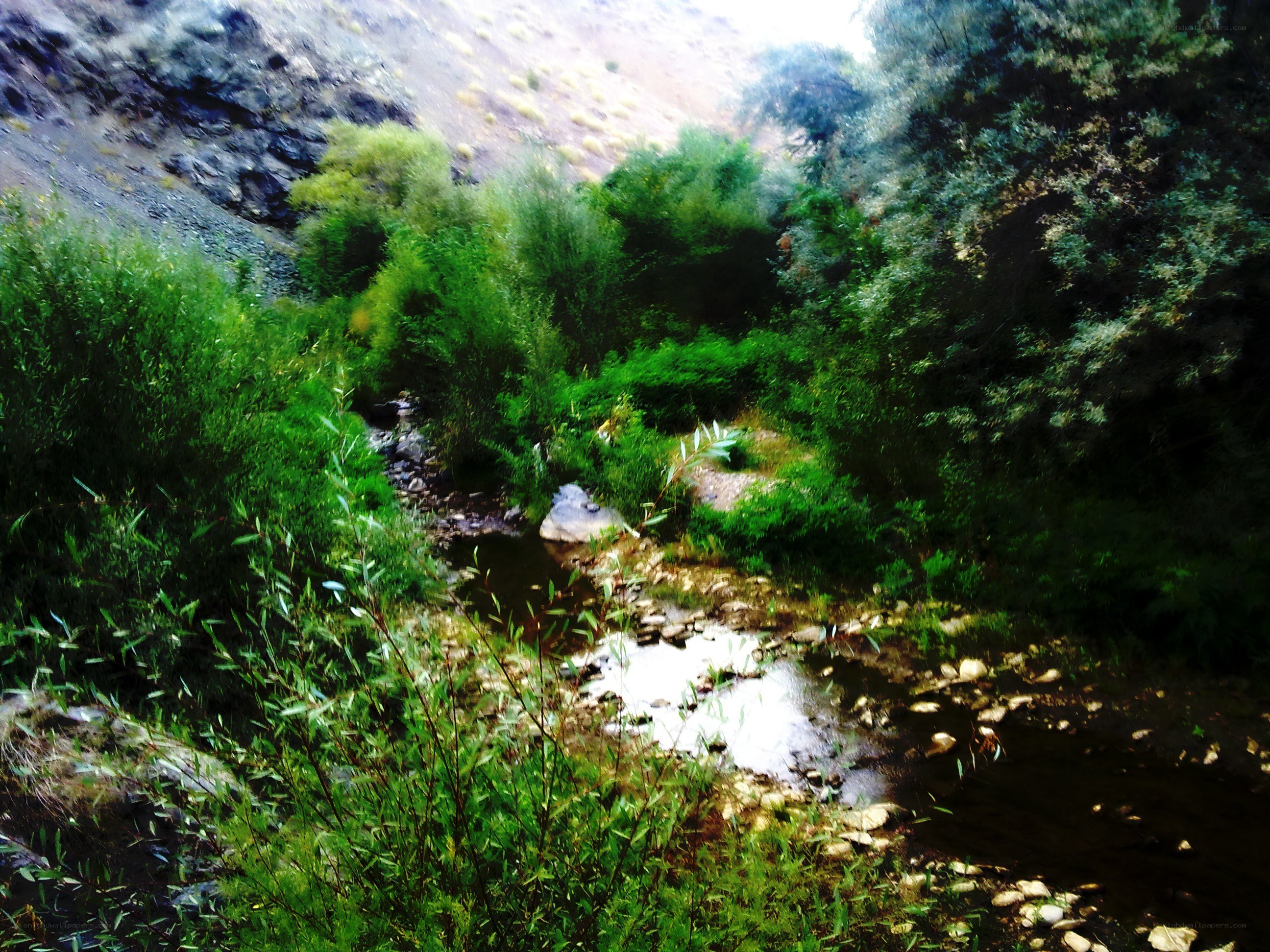 Stream in a green valley