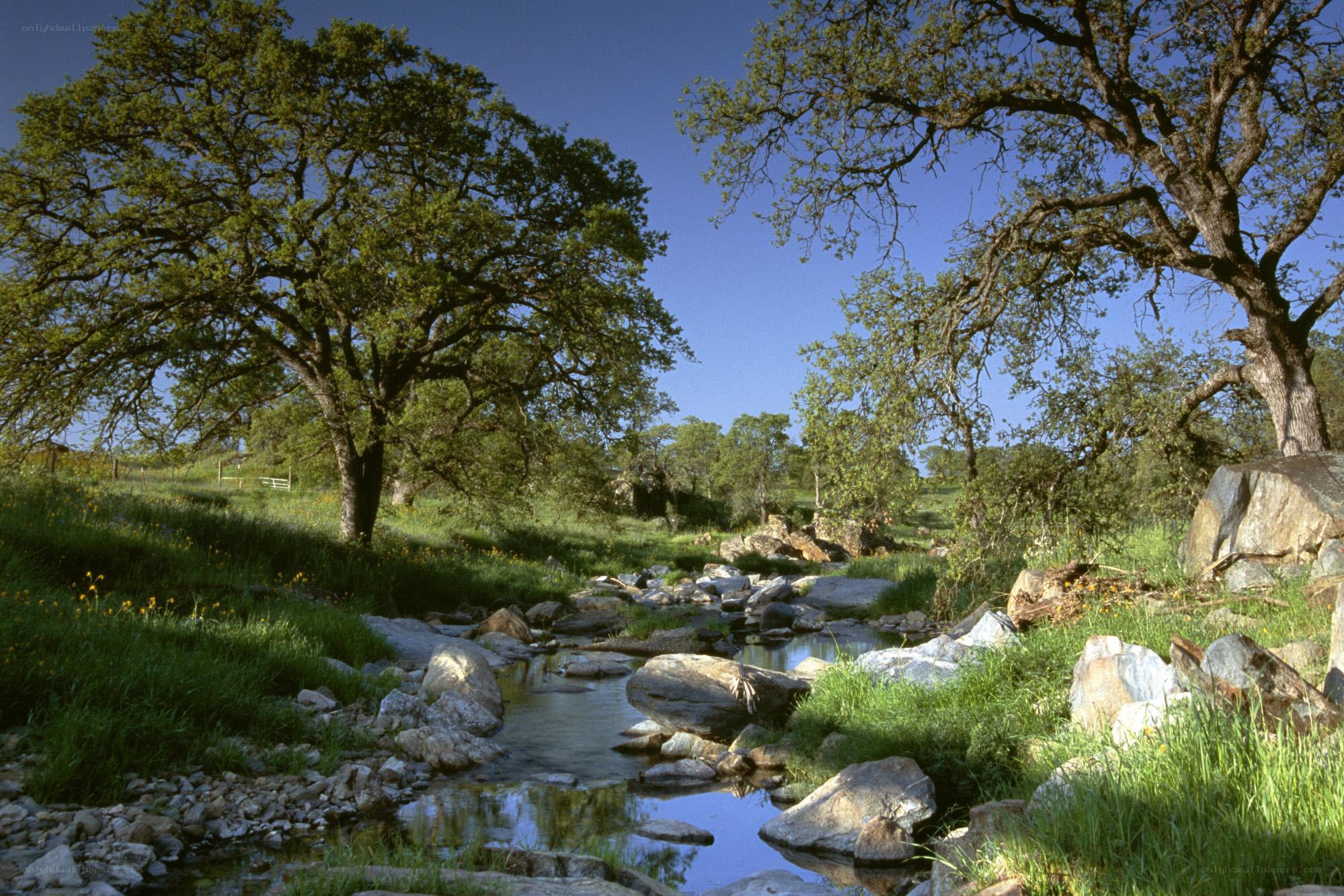 Stream in a green valley