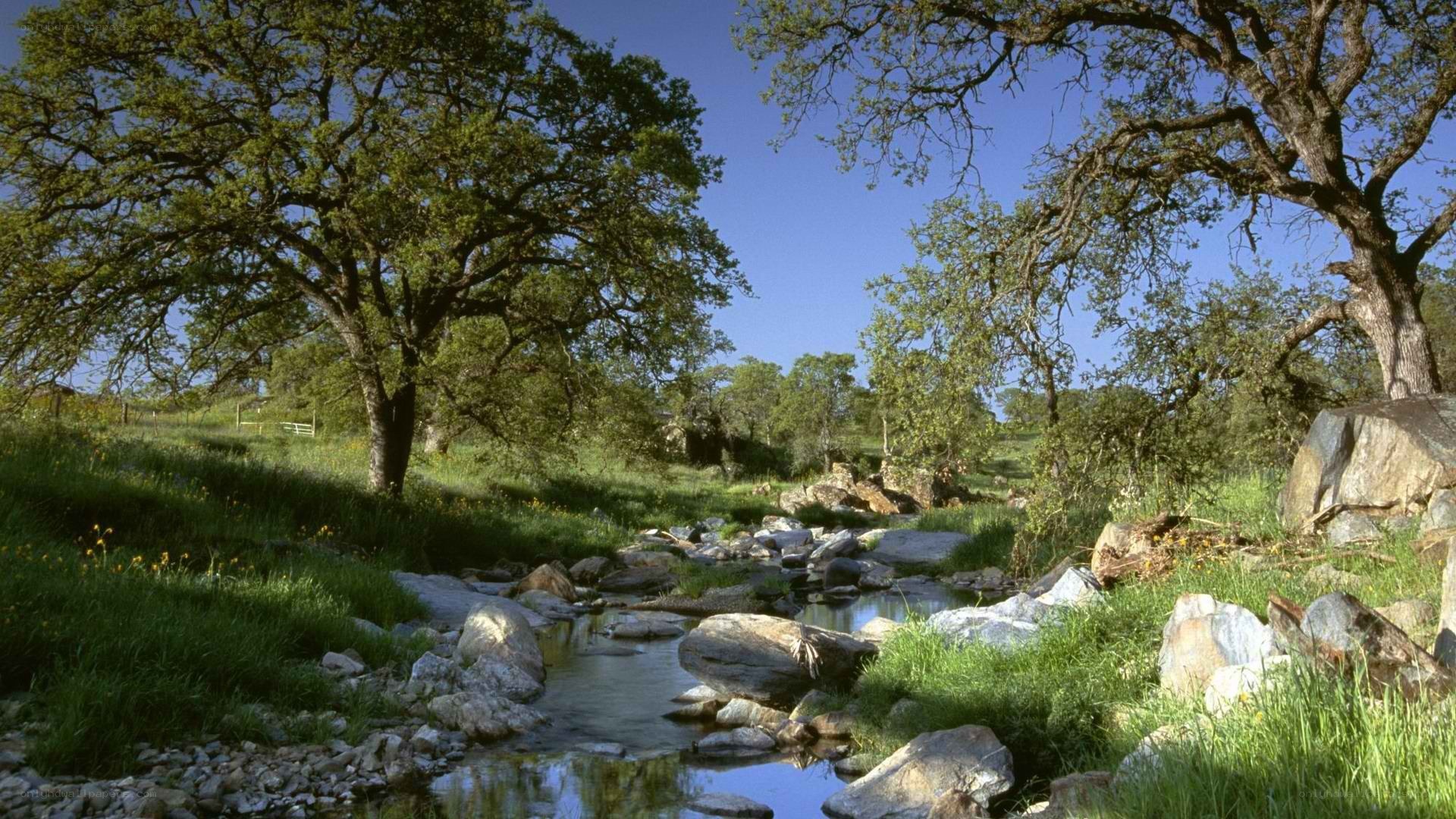 Stream in a green valley