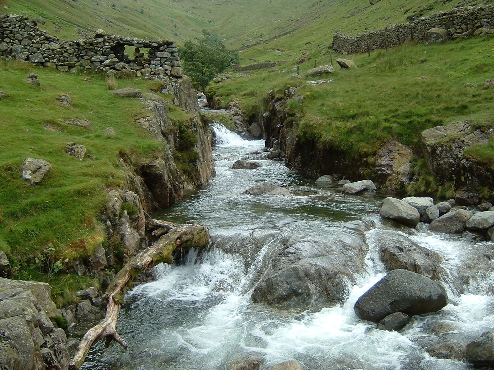 Stream in a green valley