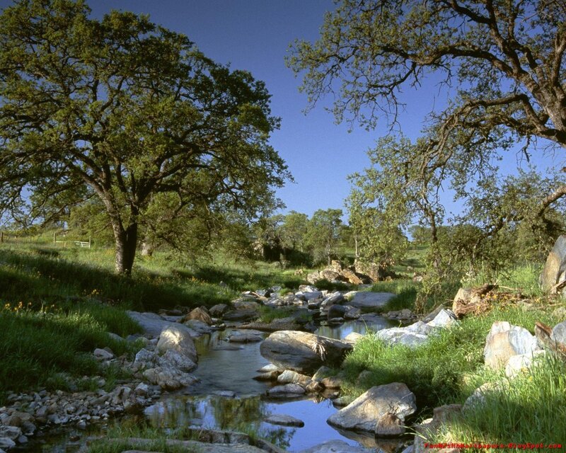 Stream in a green valley
